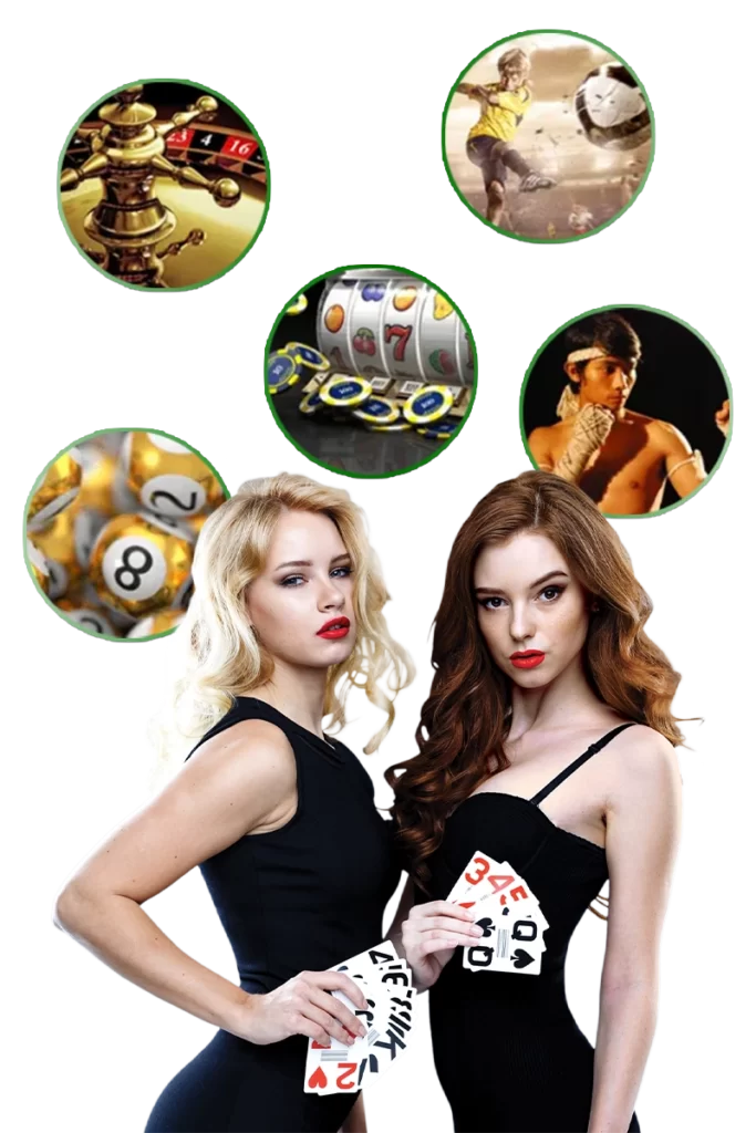 ทางเข้า tiger711v2 8